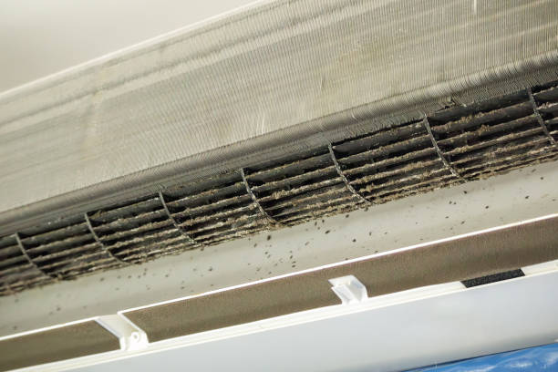 Best Air Duct Inspection  in Waymart, PA